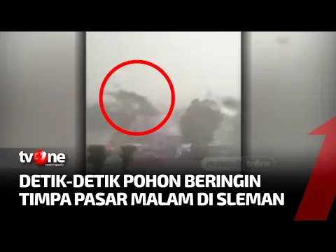 Pohon Beringin Raksasa di Sleman Tumbang Dan Menimpa Wahana Bermain