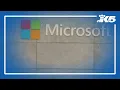 Microsoft offers voluntary buyouts for some employees amid broader tech layoffs