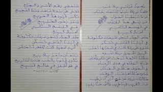   زهورا قتلتي بلا ذنب عيون بريئة  كتابة الخط   إدريس عايل الأمير دندنها