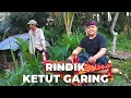 Ketut Garing - EMONI (Rindik Cover)