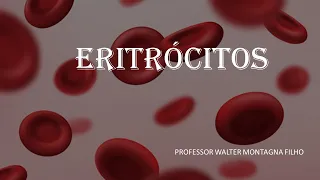 Eritrócitos