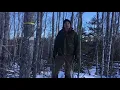 A Steward's Almanac: A Year of Caring for the Land - Backyard Forest Management (January)