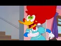 Download Lagu Pica-Pau Muda de Visual! | Pica-Pau em Português