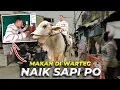 Download Lagu SATU KAMPUNG HEBOH..! GW PERGI KE WARTEG NAIK SAPI PO JUMBO..!