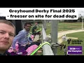 Download Lagu Geryhound Derby Final Buildup | Claudia Penna Rojas on BBC Radio Northampton | 13 June 2025