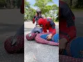 Lagu Superman vs Spider-Man ⚡ The Ultimate Battle! | Funny Superhero Short
