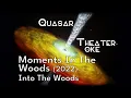 Into The Woods (2022 Broadway Cast) - Moments In The Woods [Karaoke, 2022]