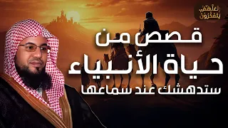 محمد الشنقيطي قصص من حياة الانبياء قصص أروع من الخيال ستتمنى ألا تنتهي 