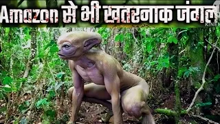 Most Dangerous Animals Of Amazon Rainforest | Strange Facts About Amazon Rainforest [Hindi/Urdu]