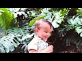 1 Day in Singapore HD
