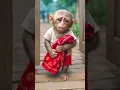 Download Lagu 🐒 The Baby Monkey’s Gift of Love \u0026 Pain ❤️