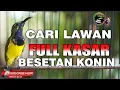 Download Lagu PANCINGAN SOGON BIKIN EMOSI LAWAN FULL ISIAN KASAR JEDA NGECRET ALAMI MEMANCING EMOSI SOGON BAHAN