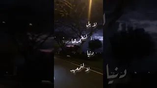 لا لا لم نخلق عبثا محمد كندو 