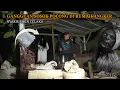 Lagu HOROR: GANGGUAN SOSOK POCONG DI RUMAH ANGKER ‼️ NYARIS BIKIN CELAKA 