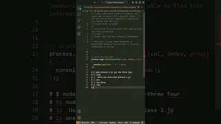 javascript - How do I pass command line arguments to a Node js program and receive them