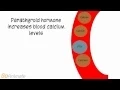 Anatomy and Physiology Endocrine System Calcitonin and PTH v2 0