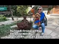 Dog Friendly Vacation to Asheville NC Places to go with your dog