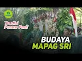 Lagu Budaya Mapag Sri - Pesta Menyambut Panen Padi