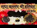 Download Lagu राधावल्लभ श्री हरिवंश नाम कीर्तन | Radhavallabh Shri Harivansh Naam Kirtan