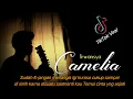Download Lagu Sudahlh jangan menangis lagi kurasa cukup sampai di sinih (Irwansya CAMELIA)cover Aldien Syhafutra