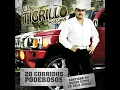 El Guero Pesado - El Tigrillo Palma