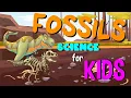 What are Fossils Science for Kids