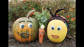 Ходить Гарбуз по городу 