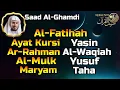 Lagu Al Fatihah, Ayat Kursi, Yasin, Ar Rahman, Al Waqiah, Al Mulk ,Maryam, Yusuf, Taha By Saad Al Ghamdi