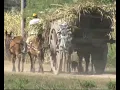 De Simoca (Chango Rodriguez)