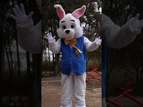 El conejito Hop Hop
