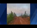 Alabama Forestry Commission battling 400-acre brush fire in Coosa County