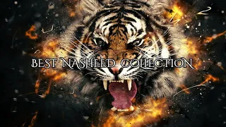 Best Nasheed Collection English Translation Reuploaded 8 Nasheeds أفضل مجموعة نشيد 