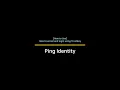 Ping Identity Eng