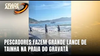 Mais de dez mil tainhas são capturadas na Praia do Gravatá