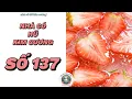 Download Lagu [Truyện audio] [FULL] NHÀ CÓ HŨ KIM CƯƠNG SỐ 137  ||  Nhà có hũ kim cương  ~ KÊNH CHÍNH CHỦ ~