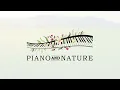 Sea of Green by Stephen Weber | Piano and Nature