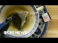 Inside one of the nation s most popular tea brands