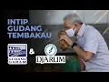 Download Lagu TILIK GUDANG TEMBAKAU PT GUDANG GARAM DAN DJARUM
