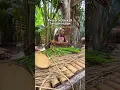 Download Lagu RESTORAN UNIK DI TENGAH HUTAN, MASAKNYA GA PAKE MINYAK! #ngeshortsdulu #restaurant #kuliner #papua