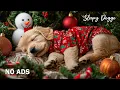 Lagu 12 Uur Rustgevende Muziek voor Honden 🎄🐶 Kalmerende Liedjes 🎵 Ontspannende Geluiden 💖 Zonder Reclame
