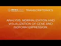 Omics Logic Transcriptomics working with the table of expression Excel R and Python Norm