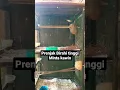 Download Lagu Prenjak Birahi Tinggi Minta Kawin