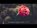 Download Lagu Before Their Eyes - Stay