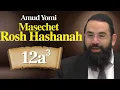 Gemara Rosh Hashanah 12a3 Rabbi Yisraeli s Amud Yomi