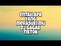 Download Lagu Entah Apa Yang Merasuki Mu DJ Gagak Tiktok