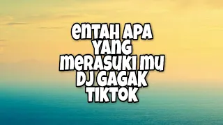 entah apa yang merasuki mu dj gagak tiktok lirik 