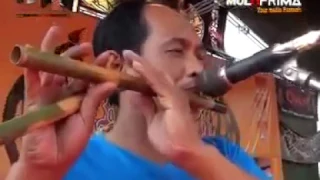 dua kursi rena kdi om monata