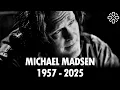 Download Lagu Ő volt Michael Madsen