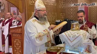 القداس الغريغوري القس بقطر نسيم 