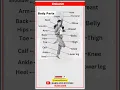 Learn Body Parts in English Easy Vocabulary for Beginners Learn and Success